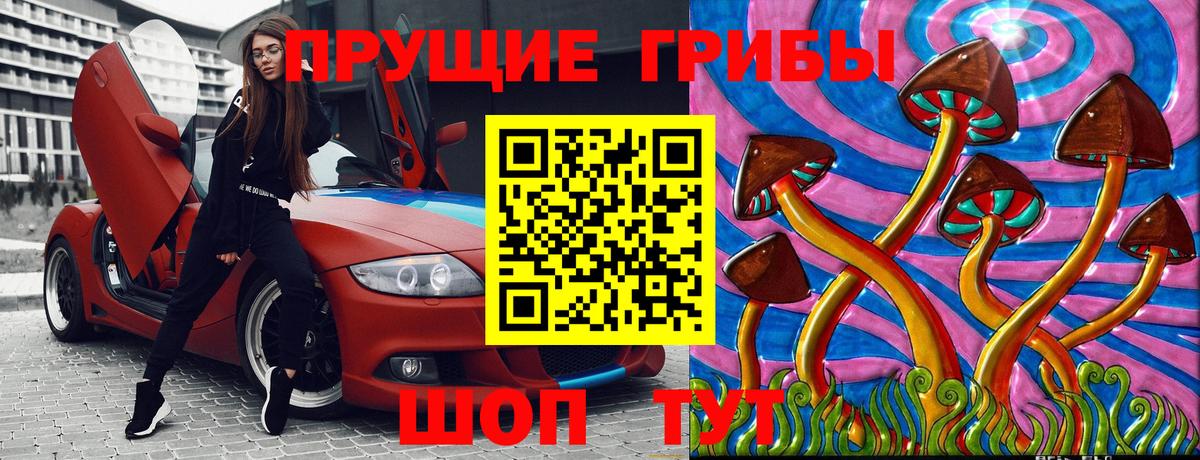 Псилоцибиновые грибы мухоморы Гусиноозёрск