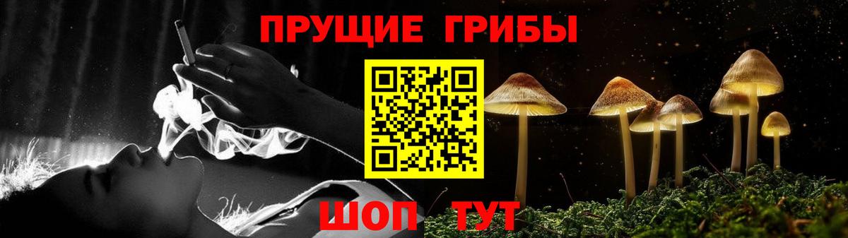 Галлюциногенные грибы прущие грибы  Галлюциногенные грибы прущие грибы  Гусиноозёрск  Вход с VPN 